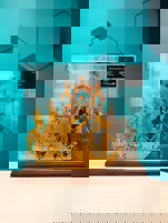 Prix du 3-Juillet-1608